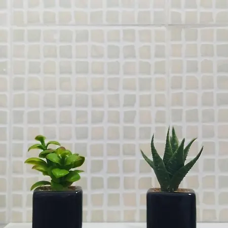 Palma House Apartmán